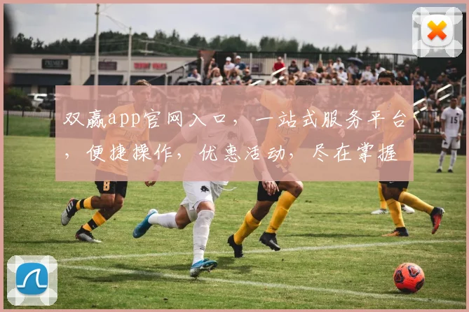 双赢app官网入口，一站式服务平台，便捷操作，优惠活动，尽在掌握，三重惊喜，不容错过，立即访问